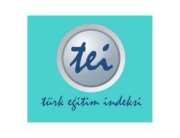 Türk Eğitim İndeksi